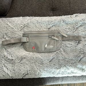 Dog walking bag/fanny pack